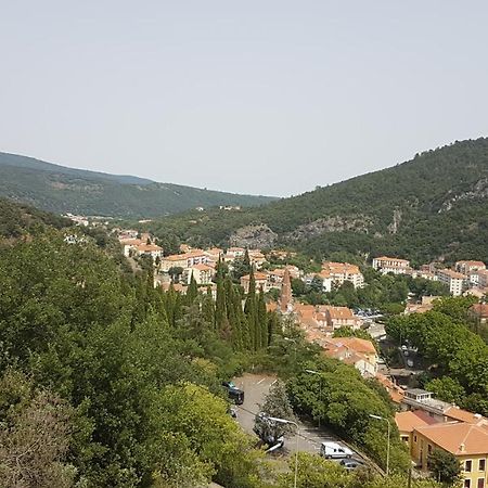 Joli studio de 26 m² avec véranda de 6 m² calme et vue sur montagne Amélie-les-Bains-Palalda Exterior foto